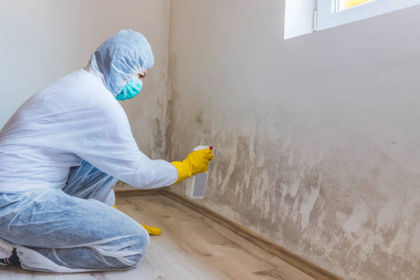 Mold Remediation specialist working in Atlanta