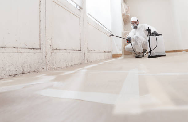 Black mold remediation team in Atlanta