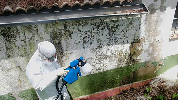 Mold Remediation service in Atlanta, Atlanta, GA